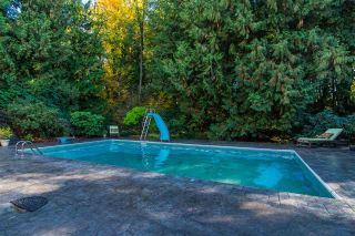 Photo 16: 2810 BRADNER Road in Abbotsford: Aberdeen House for sale : MLS®# R2216615