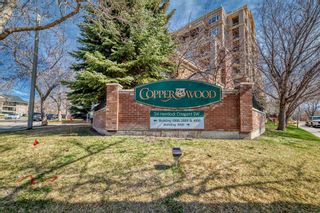 Photo 1: 3608 24 Hemlock Crescent SW in Calgary: Spruce Cliff Apartment for sale : MLS®# A2122978