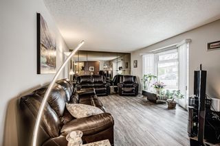 Photo 10: 503 Whitehorn Way NE in Calgary: Whitehorn Detached for sale : MLS®# A2008771