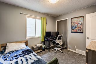 Photo 21: 194 Sagewood Grove SW: Airdrie Detached for sale : MLS®# A1234323