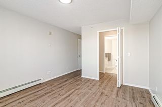 Photo 11: 3413 1620 70 Street SE in Calgary: Applewood Park Apartment for sale : MLS®# A1258533