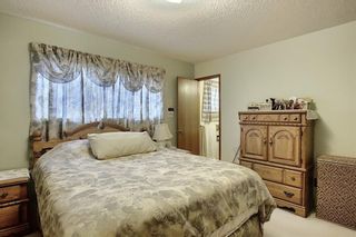 Photo 14: 6024 SILVER RIDGE Drive NW in Calgary: Silver Springs Detached for sale : MLS®# C4293767