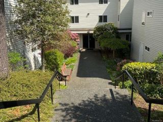 Photo 1: 303 615 Alder St in CAMPBELL RIVER: CR Campbell River Central Condo for sale (Campbell River)  : MLS®# 838136