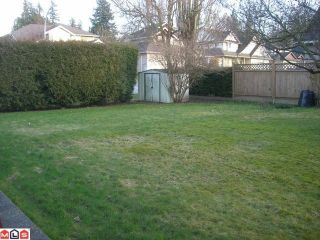 Photo 8: 21764 50TH Avenue in Langley: Murrayville House for sale : MLS®# F1103774