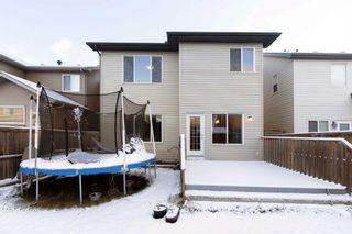 Photo 27: 37 Skyview Shores Crescent NE in Calgary: Skyview Ranch Detached for sale : MLS®# A2094493