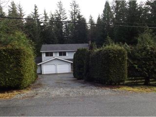 Photo 19: 12750 GARIBALDI ST in Maple Ridge: Northeast House for sale : MLS®# V1114503