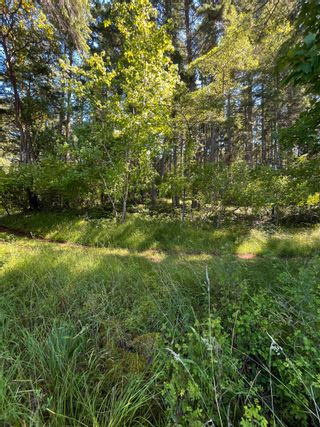 Photo 5: 723 TUMBO CHANNEL Road: Saturna Island Land for sale in "East Point Cottages Ltd" (Islands-Van. & Gulf)  : MLS®# R2779313