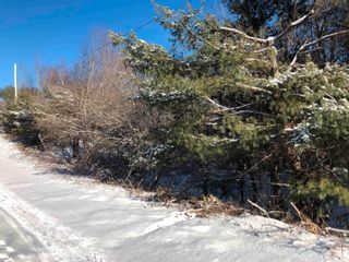 Photo 8: Lot 5 Lakeview Drive in Lake La Rose: Annapolis County Vacant Land for sale (Annapolis Valley)  : MLS®# 202300542