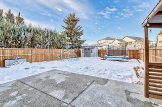 Photo 39: 52 Applewood Court SE in Calgary: Applewood Park Detached for sale : MLS®# A2018208