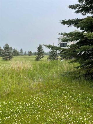 Photo 14: LOT 100 19432 TOWNSHIP 710: Valleyview Recreational for sale : MLS®# A2110113