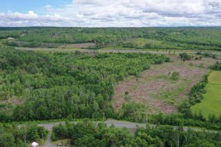 Photo 4: 22 acres West River East Side Road in Limerock: 108-Rural Pictou County Vacant Land for sale (Northern Region)  : MLS®# 202312809