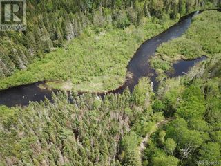 Photo 29: Lot A Canoose Stream Road in Canoose: Vacant Land for sale : MLS®# NB090908