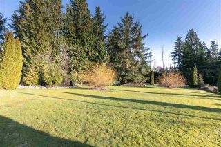 Photo 3: 33121 ROSETTA Avenue in Mission: Mission BC House for sale : MLS®# R2442910