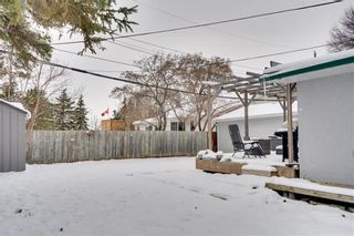 Photo 24: 632 Magnan Street in Winnipeg: Crestview Residential for sale (5H)  : MLS®# 202402001
