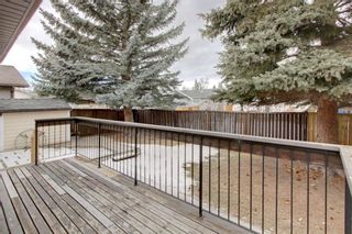 Photo 28: 167 Deerpath Court SE in Calgary: Deer Ridge Detached for sale : MLS®# A1139635