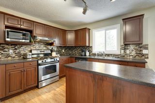 Photo 10: 158 Mountain Park Drive SE in Calgary: McKenzie Lake Detached for sale : MLS®# A2010680