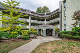 Photo 38: 302 1200 PACIFIC Street in Coquitlam: North Coquitlam Condo for sale in "GLENVIEW MANOR" : MLS®# R2853207