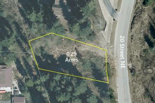 Photo 2: 3541 20 Street, NE in Salmon Arm: Vacant Land for sale : MLS®# 10270340
