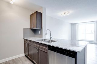 Photo 9: 313 10 Kincora Glen Park NW in Calgary: Kincora Apartment for sale : MLS®# A1234272