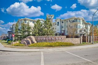 Photo 1: 410 16 Auburn Bay Link SE in Calgary: Auburn Bay Apartment for sale : MLS®# A2043597