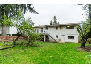 Photo 20: 9159 APPLEHILL Crescent in Surrey: Queen Mary Park Surrey House for sale : MLS®# R2407744