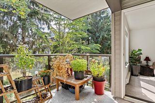 Photo 13: 215 20200 56 AVENUE in Langley: Langley City Condo for sale : MLS®# R2717688