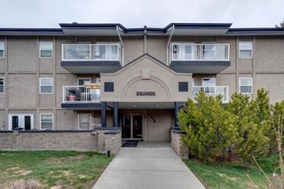 Photo 21: 209 2010 35 Avenue SW in Calgary: Altadore Apartment for sale : MLS®# A2061497