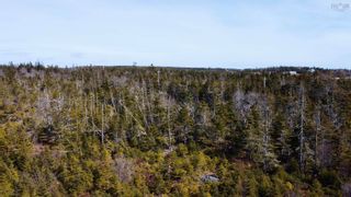 Photo 3: 1 Emerald Drive in Three Fathom Harbour: 31-Lawrencetown, Lake Echo, Port Vacant Land for sale (Halifax-Dartmouth)  : MLS®# 202207849
