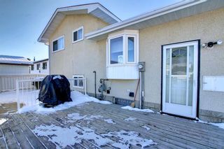Photo 35: 15 Oxbow Street: Red Deer Detached for sale : MLS®# A2011608
