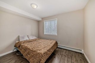 Photo 26: 2108 6224 17 Avenue SE in Calgary: Red Carpet Apartment for sale : MLS®# A2134135