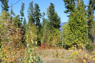 Photo 5: Lot 84 Talin Place in Eagle Bay: Land Only for sale : MLS®# 10125064