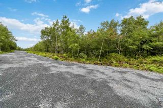Photo 6: Lot 6 Maple Ridge Drive in White Point: 406-Queens County Vacant Land for sale (South Shore)  : MLS®# 202315187