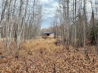 Photo 2: LOT 1 MCCONACHIE CREEK Road in Fort Nelson: Fort Nelson - Rural Land for sale : MLS®# R2826243