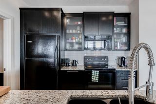Photo 11: 509 3410 20 Street SW in Calgary: South Calgary Apartment for sale : MLS®# A1193852