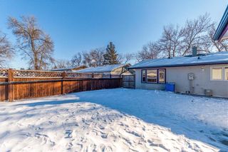 Photo 26: 417 Meadowood Drive in Winnipeg: Residential for sale (2E)  : MLS®# 202127798