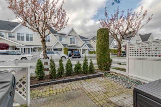 Photo 18: 34 23575 119 Avenue in Maple Ridge: Cottonwood MR Townhouse for sale in "HOLLY HOCK" : MLS®# R2357874