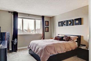 Photo 25: 101 CRANWELL Place SE in Calgary: Cranston Detached for sale : MLS®# C4289712