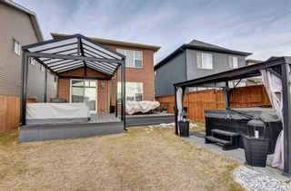 Photo 38: 246 Legacy Heights SE in Calgary: Legacy Detached for sale : MLS®# A2116928