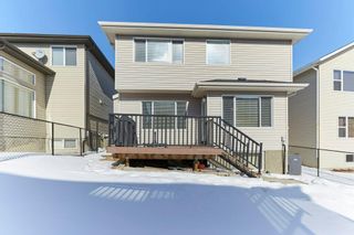 Photo 37: 229 Panamount Road NW in Calgary: Panorama Hills Detached for sale : MLS®# A2033345