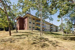 Main Photo: 3311 393 Patterson Hill SW in Calgary: Patterson Apartment for sale : MLS®# A1252666