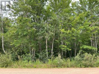 Photo 5: Hastings Road in Springfield: Vacant Land for sale : MLS®# 202401817