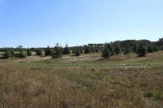 Photo 2: Hwy 622 RR 15: Rural Leduc County Rural Land/Vacant Lot for sale : MLS®# E4261453