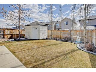 Photo 22: 87 BRIGHTONDALE Crescent SE in Calgary: New Brighton House for sale : MLS®# C4107640