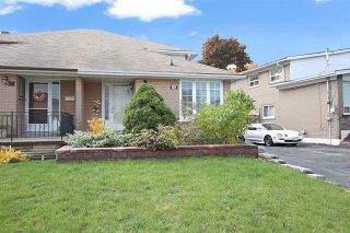 Photo 1: 36 Northover Street in Toronto: Glenfield-Jane Heights House (Backsplit 4) for sale (Toronto W05)  : MLS®# W3989018