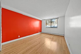 Photo 17: 104 8540 CITATION Drive in Richmond: Brighouse Condo for sale in "Belmont Park" : MLS®# R2640591