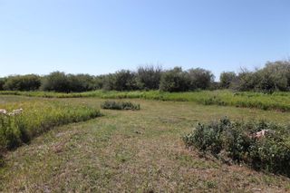 Photo 4: SE1/4 30-19-28-W4: Rural Foothills County Residential Land for sale : MLS®# A1140505