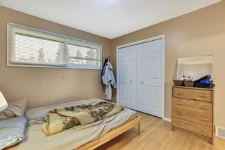 Photo 6: 2003 5 Avenue NW in Calgary: West Hillhurst Full Duplex for sale : MLS®# A2051062