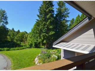 Photo 13: 21964 6TH AV in Langley: Campbell Valley House for sale : MLS®# F1417390