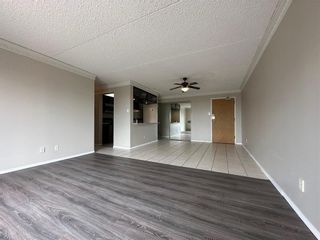 Photo 4: 1202 77 Edmonton Street in Winnipeg: Downtown Condominium for sale (9A)  : MLS®# 202313294