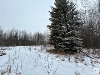 Photo 11: 18 Pinebrook Estates: Rural Thorhild County Vacant Lot/Land for sale : MLS®# E4372237